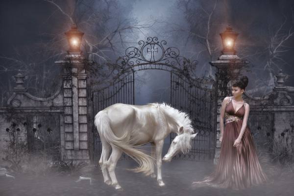 Photograph Joey Bangun The Horse Of God on One Eyeland